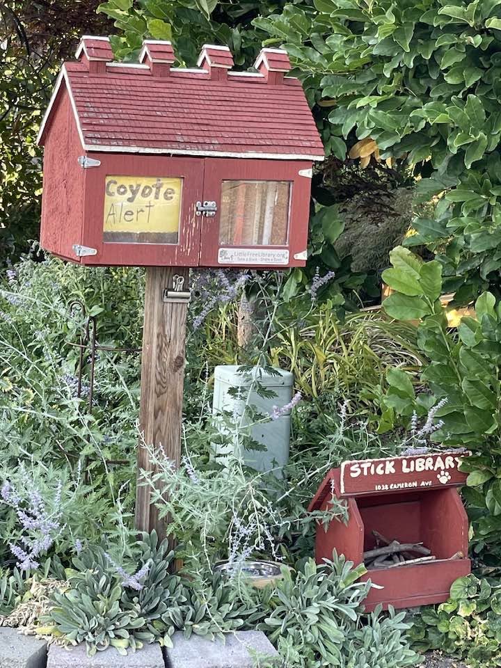 iN PHOTOS: Little free libraries in Kamloops, Okanagan branching out with new items | iNFOnews.ca iN PHOTOS: Little free libraries in Kamloops, Okanagan branching out with new items | iNFOnews.ca