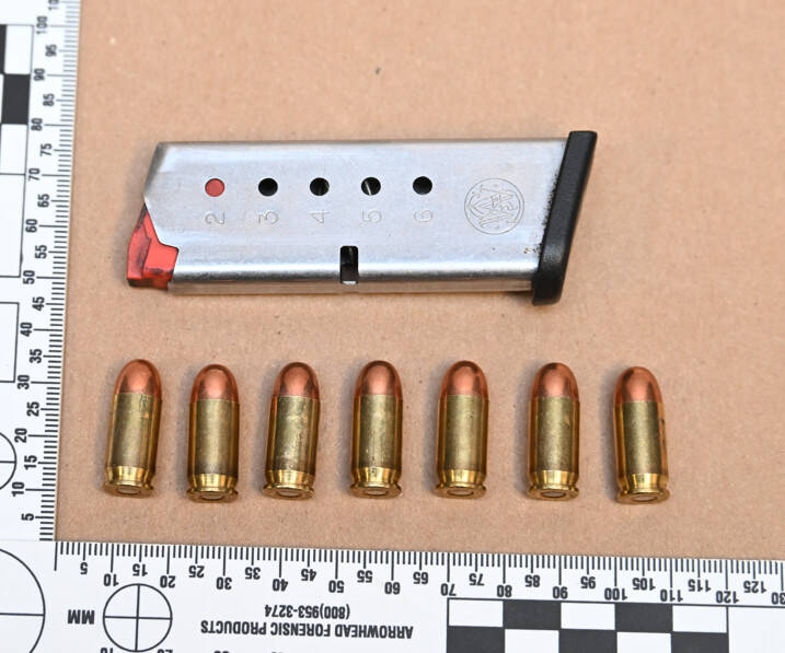 Handgun seized during Salmon Arm traffic stop: RCMP | iNFOnews.ca Handgun seized during Salmon Arm traffic stop: RCMP | iNFOnews.ca