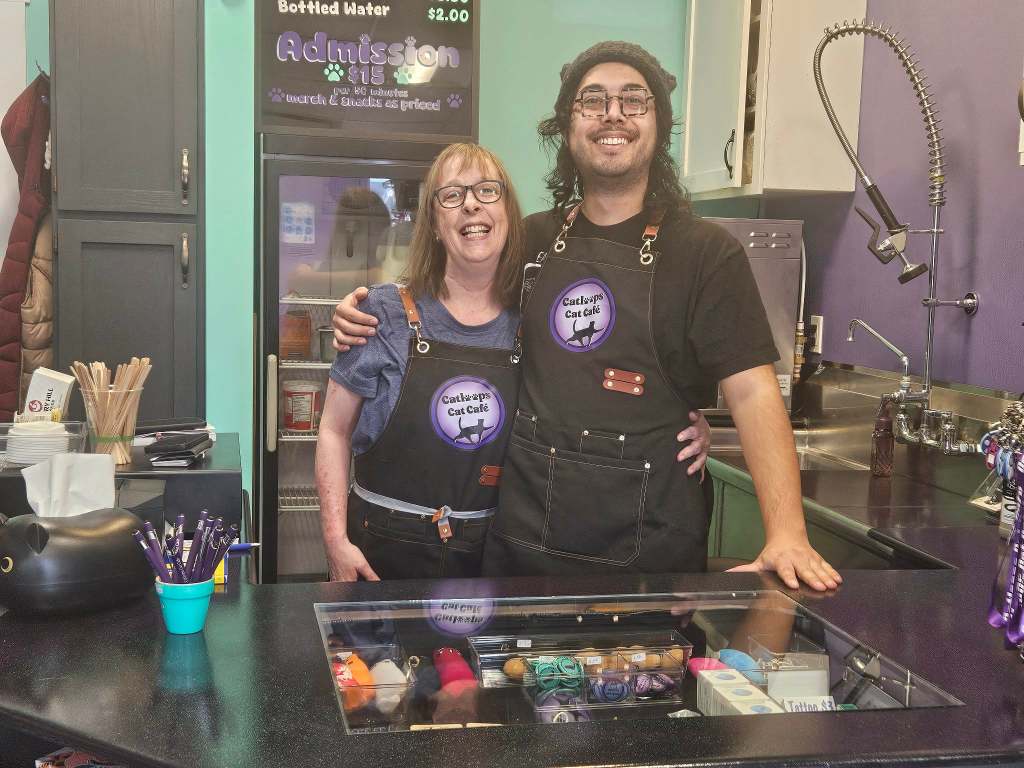 Forgotten felines get second chance at Kamloops' first cat cafe | iNwine