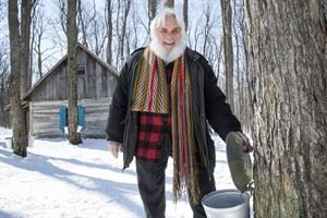 Canadian maple syrup producers on tap for warmer days to get sap flowing | iNFOnews.ca CP32446977