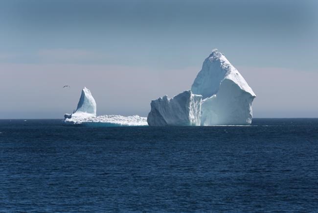 Hundreds of icebergs clog shipping lanes, forcing ships to reroute | iNFOnews.ca Hundreds of icebergs clog shipping lanes, forcing ships to reroute | iNFOnews.ca