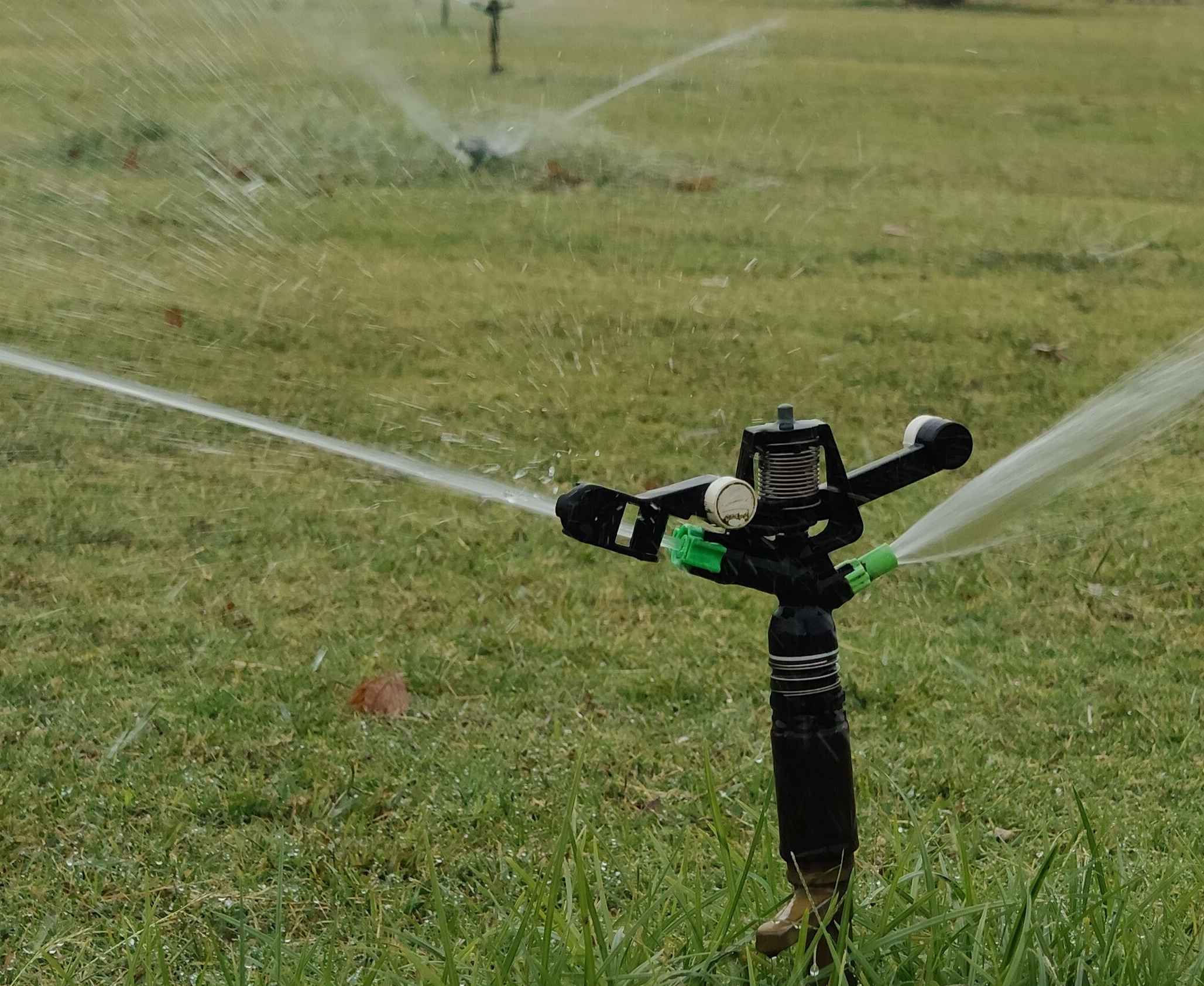 A sprinkler sprays water on grass.