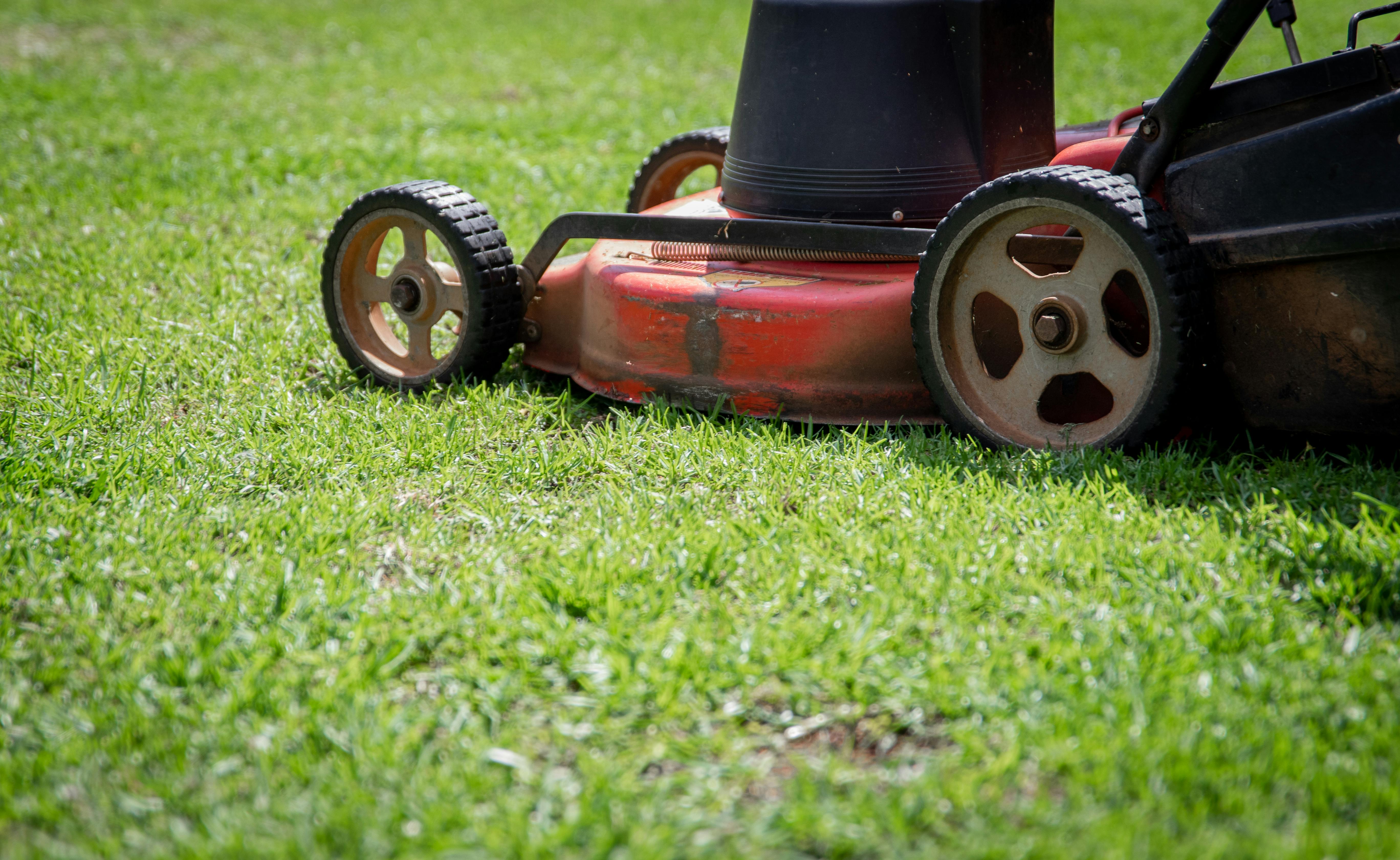 A lawnmower on a green lawn.