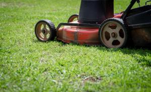 A lawnmower on a green lawn.