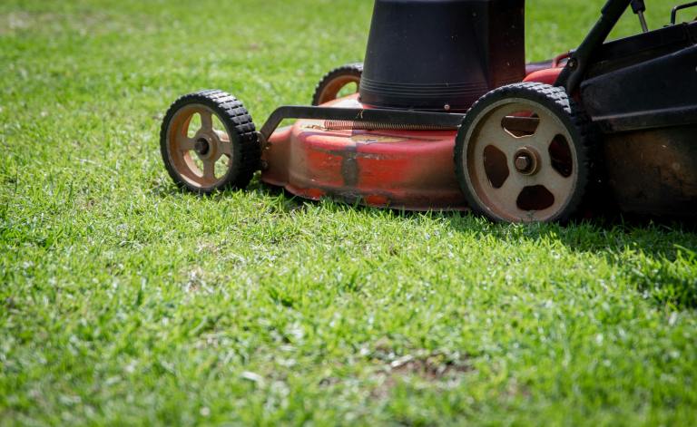 A lawnmower on a green lawn.