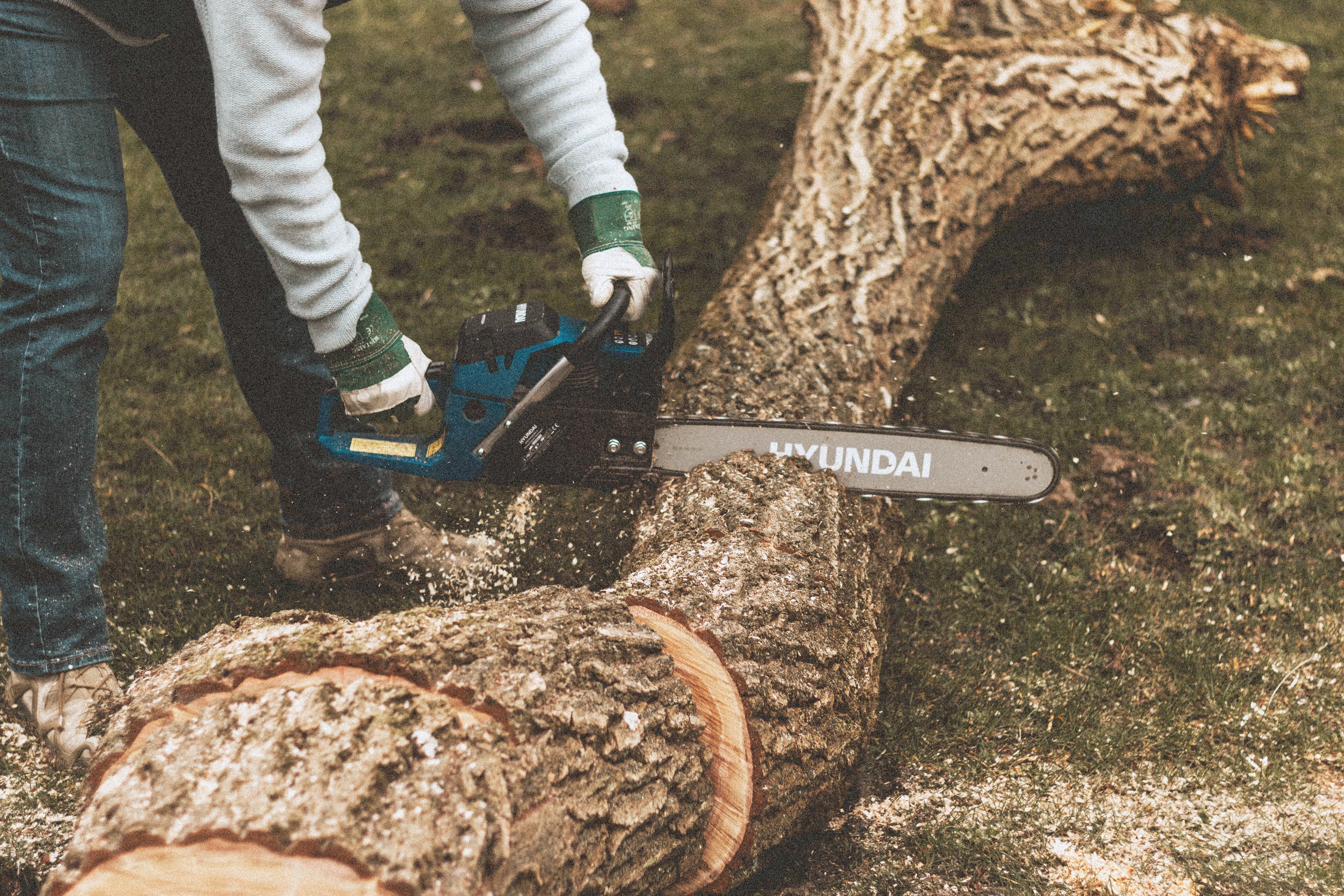 A person with a chainsaw cuts through a log.