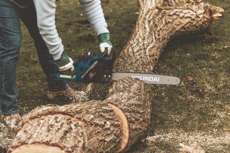 A person with a chainsaw cuts through a log.