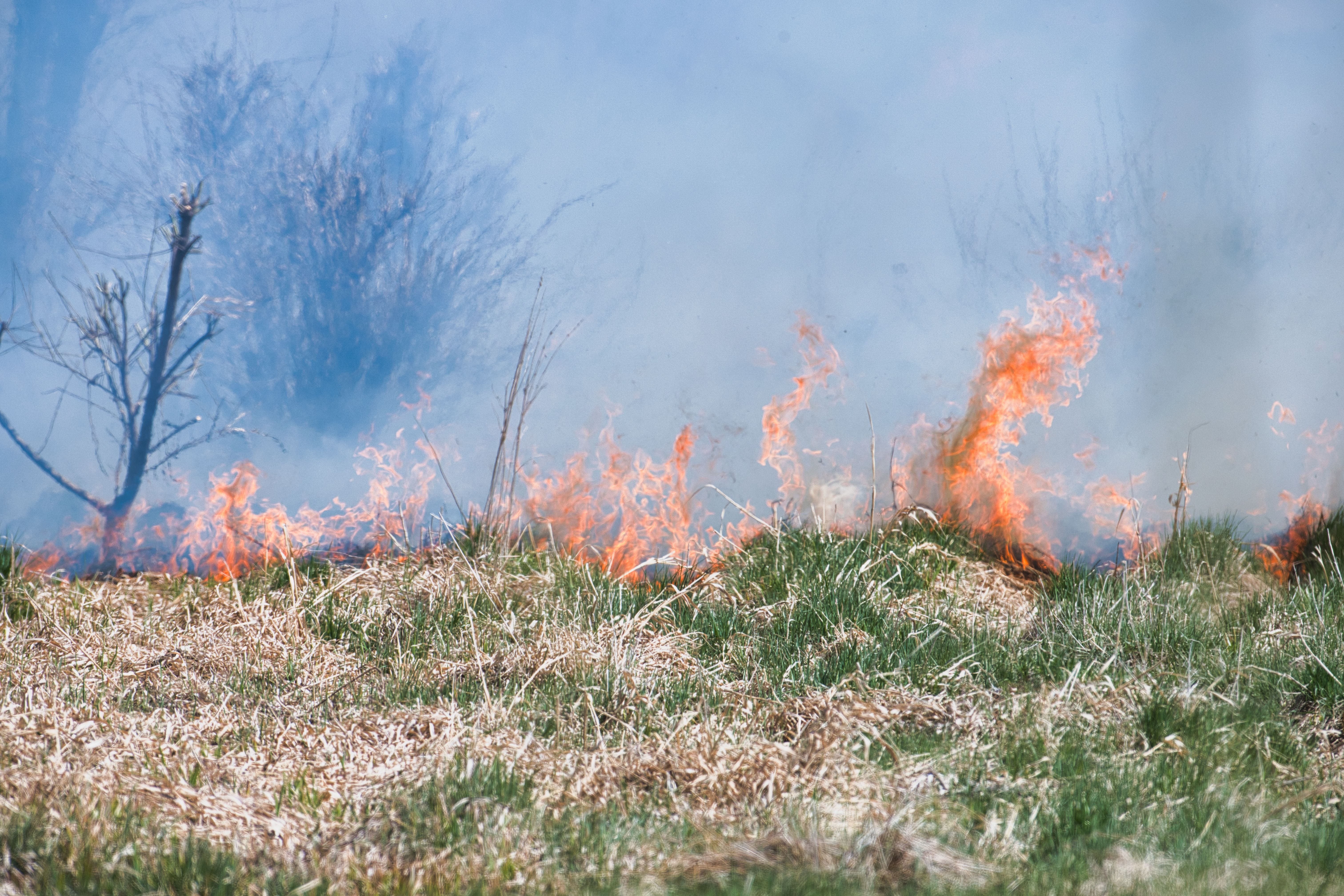 Grass on fire near a wooded area.