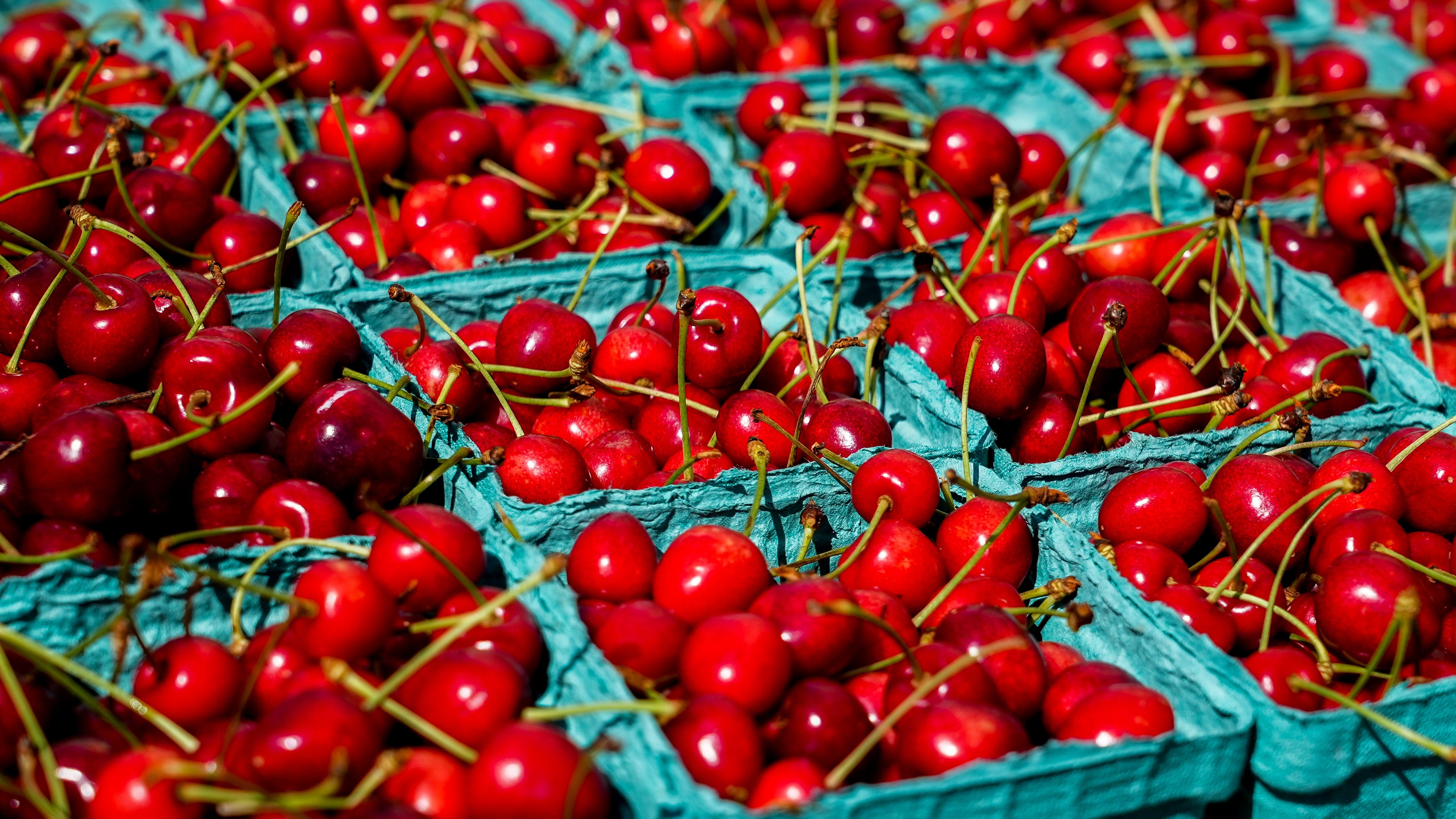 Punnets of red cherries.