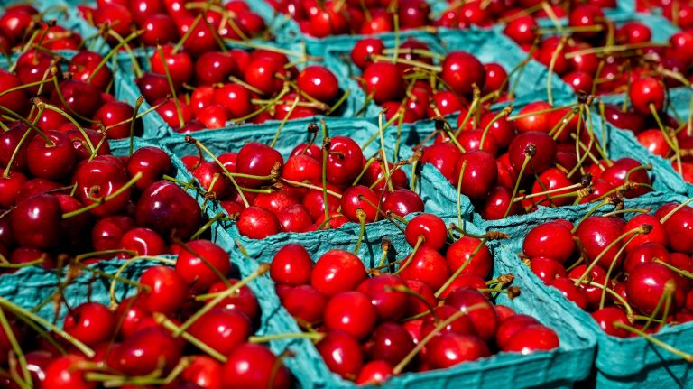 Punnets of red cherries.