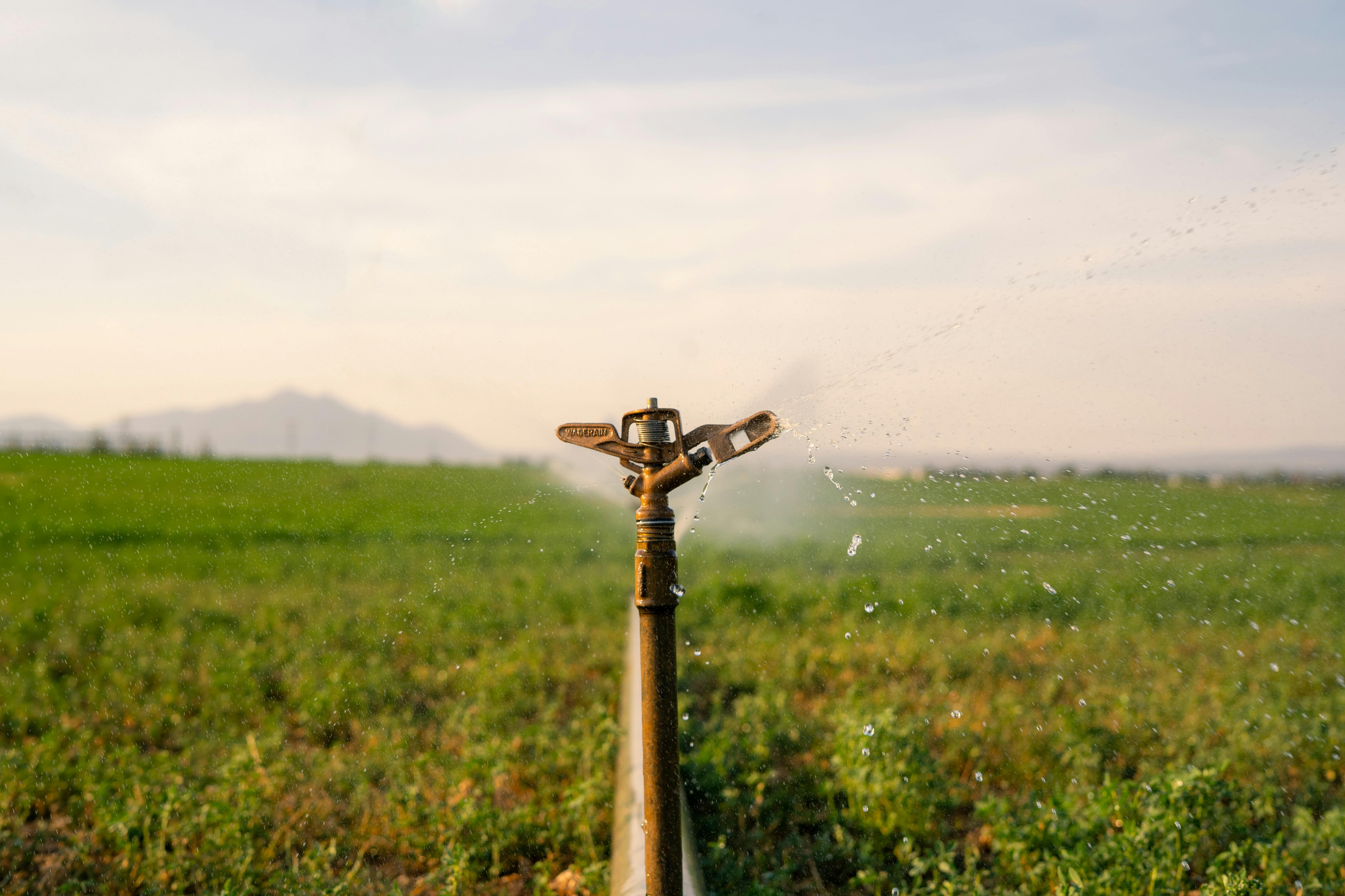 A sprinkler sprays water over a field.