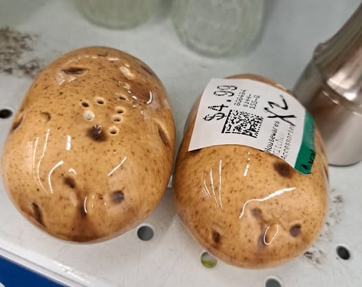 iN PHOTOS: Weird thrift store finds in Kamloops, Okanagan | iNFOnews.ca