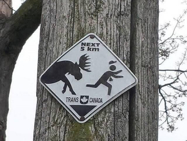 iN PHOTOS: Road signs in Kamloops, Okanagan that make you look twice | iNwheels iN PHOTOS: Road signs in Kamloops, Okanagan that make you look twice | iNwheels