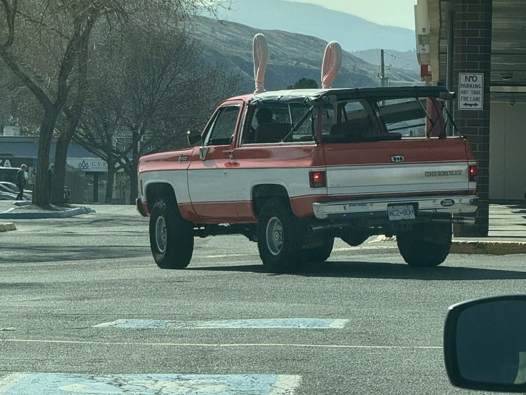 iN PHOTOS: Head-scratching sights on roads in Okanagan, Kamloops | iNwheels