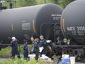CP24177446