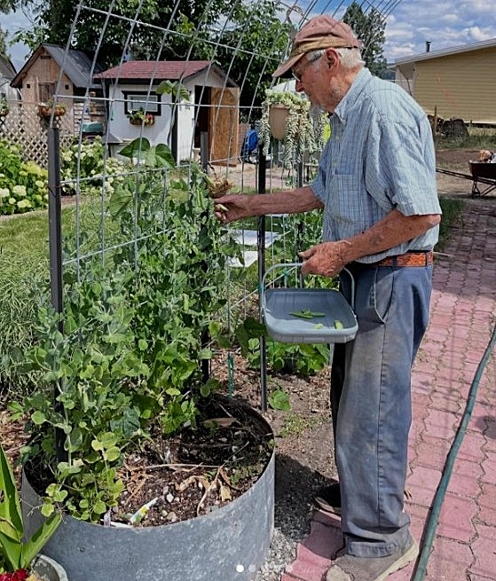 Kelowna healthcare worker opens care farm to benefit dementia sufferers | iNwine
