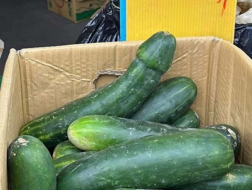 iN PHOTOS: Funny looking veggies crop up in Okanagan, Kamloops | iNFOnews.ca iN PHOTOS: Funny looking veggies crop up in Okanagan, Kamloops | iNFOnews.ca
