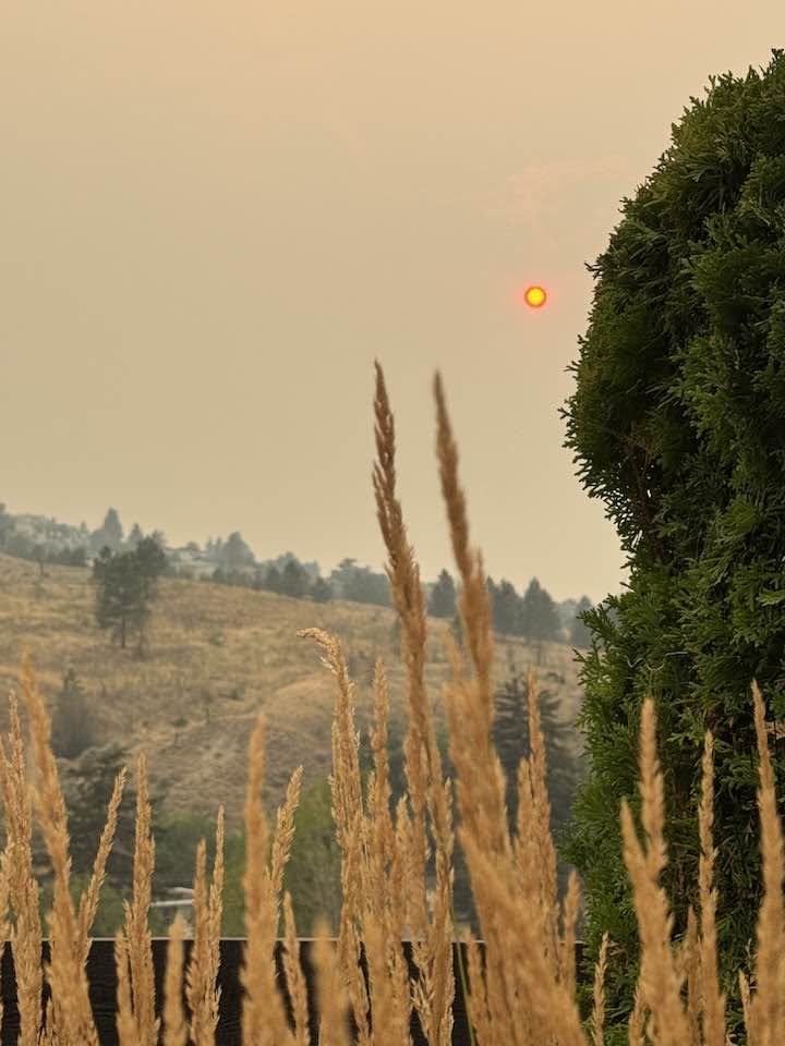 iN PHOTOS: Ash, smoke and haze fill Thompson-Okanagan skies | iNFOnews.ca