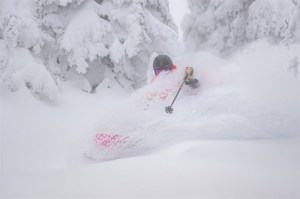 Man skiing in powder.