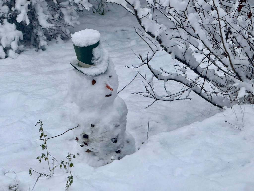 iN PHOTOS: Snowmen built with first winter snowfalls in Kamloops, Okanagan | iNFOnews.ca iN PHOTOS: Snowmen built with first winter snowfalls in Kamloops, Okanagan | iNFOnews.ca