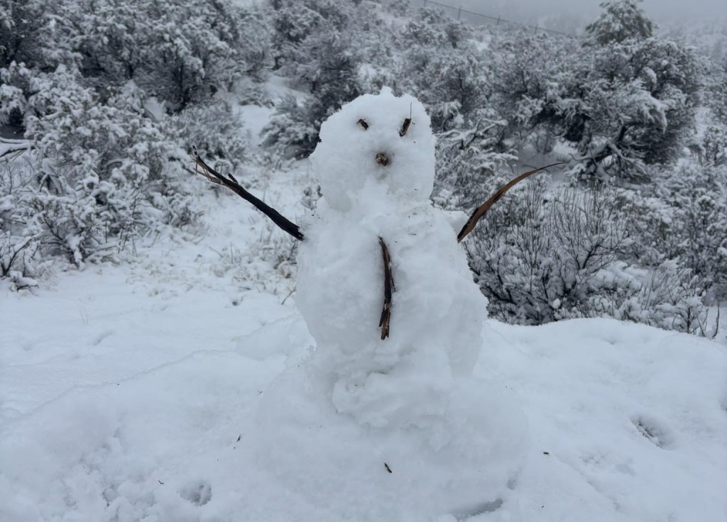 iN PHOTOS: Snowmen built with first winter snowfalls in Kamloops, Okanagan | iNFOnews.ca iN PHOTOS: Snowmen built with first winter snowfalls in Kamloops, Okanagan | iNFOnews.ca