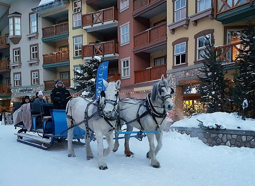 Where to go dashing through the snow in Kamloops, Okanagan | iNFOnews.ca