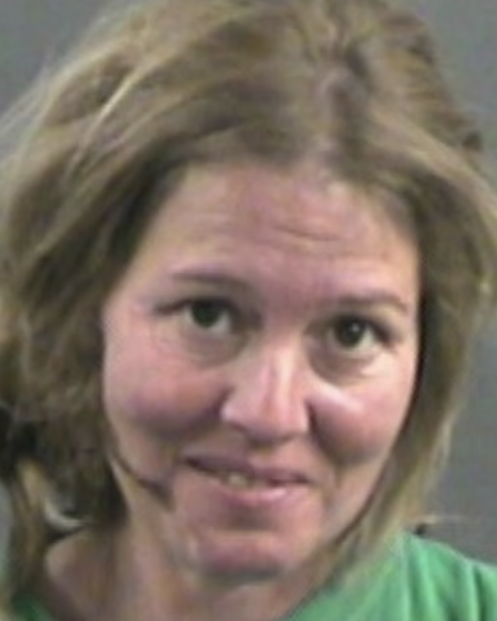 A headshot of a 45 year old woman with shoulder length hair.