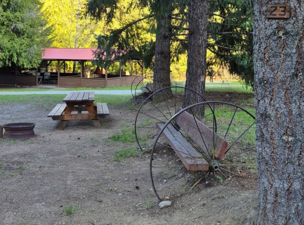 New, local ownership turning Cherryville wilderness camp into tourist destination | iNFOnews.ca