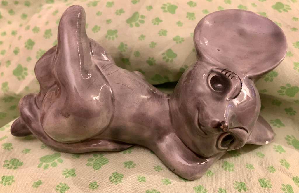 iN PHOTOS: Weird thrift store finds in Kamloops, Okanagan | iNFOnews.ca