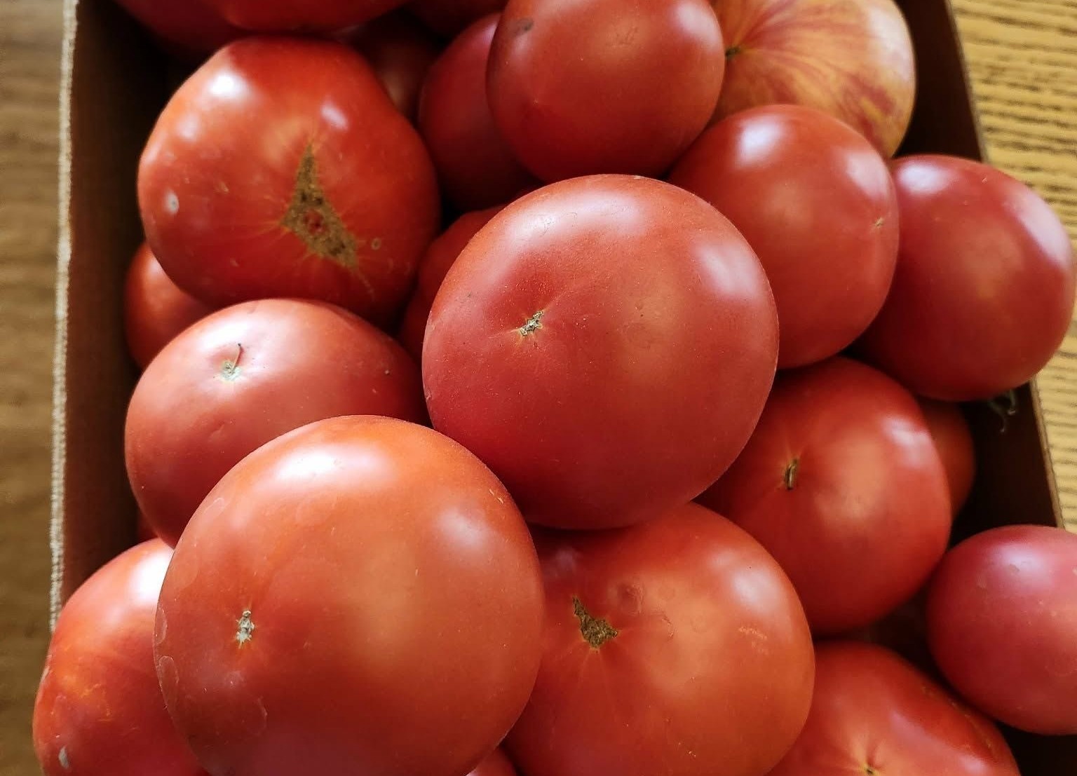 A box of ripe tomatoes.