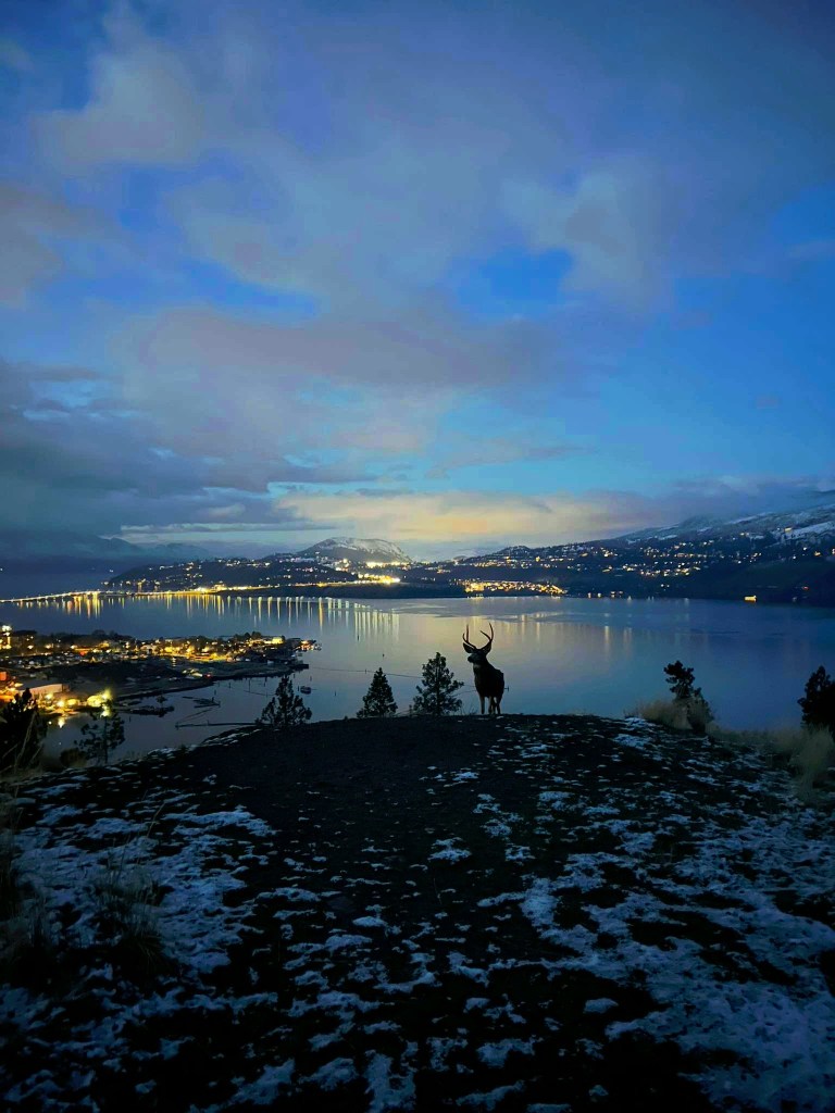 iN PHOTOS: Scenes of a white Christmas in the Thompson-Okanagan | iNFOnews.ca iN PHOTOS: Scenes of a white Christmas in the Thompson-Okanagan | iNFOnews.ca