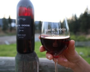 A glass of red wine is held up with a bottle and outdoor view in the background.