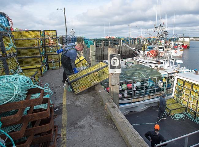 'Dumping Day' docked by blustery forecasts in effort to make lobster hunt safer | iNFOnews.ca