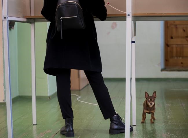 Lithuania's presidential contest heads to runoff vote | iNFOnews.ca